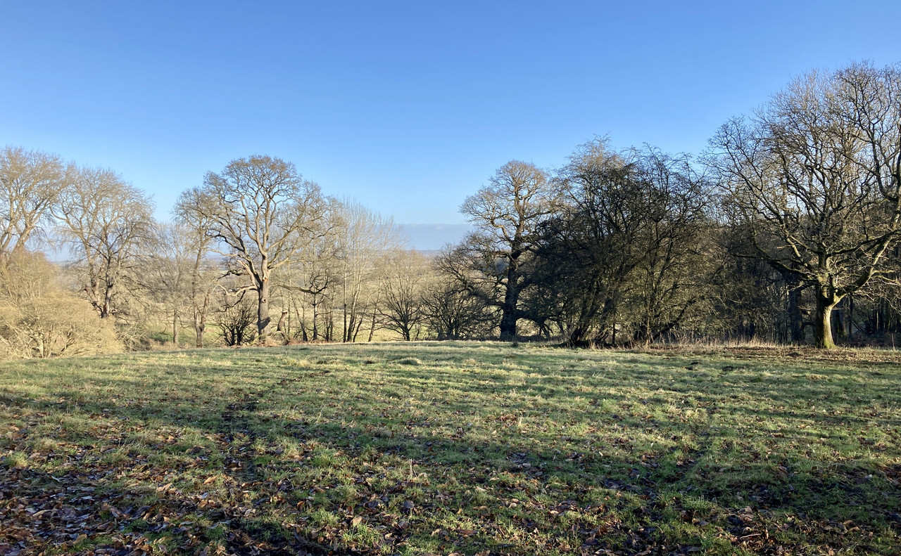 50A1EBB1-79C2-43BF-A671-09AA1C856A1E