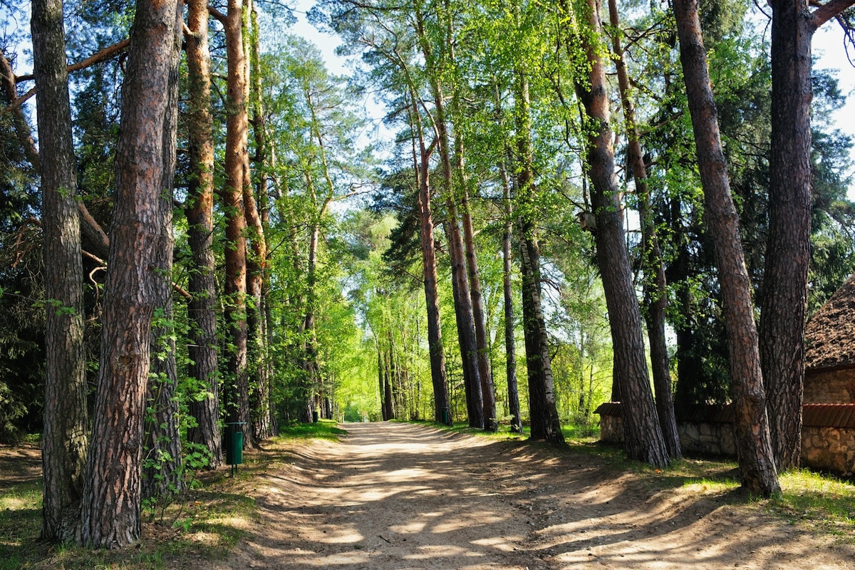 Парк в поленово