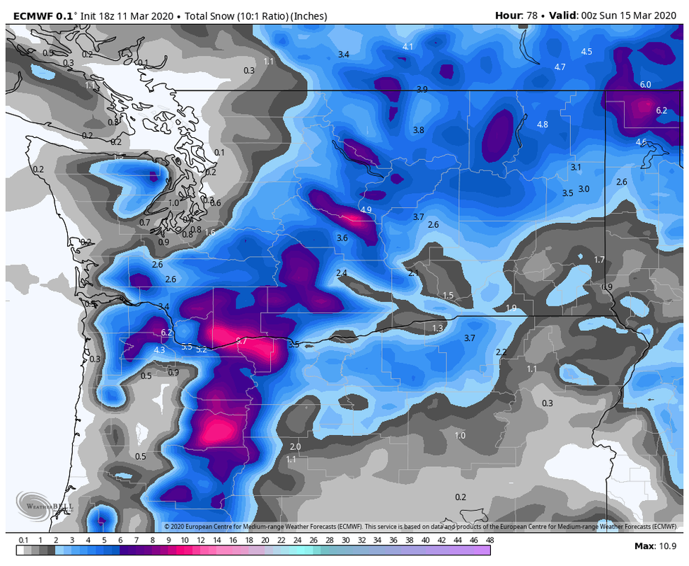 ecmwf-deterministic-washington-total-sno