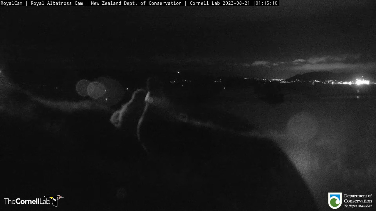 368677269_6766838356702172_3686657246656563326_n (1)