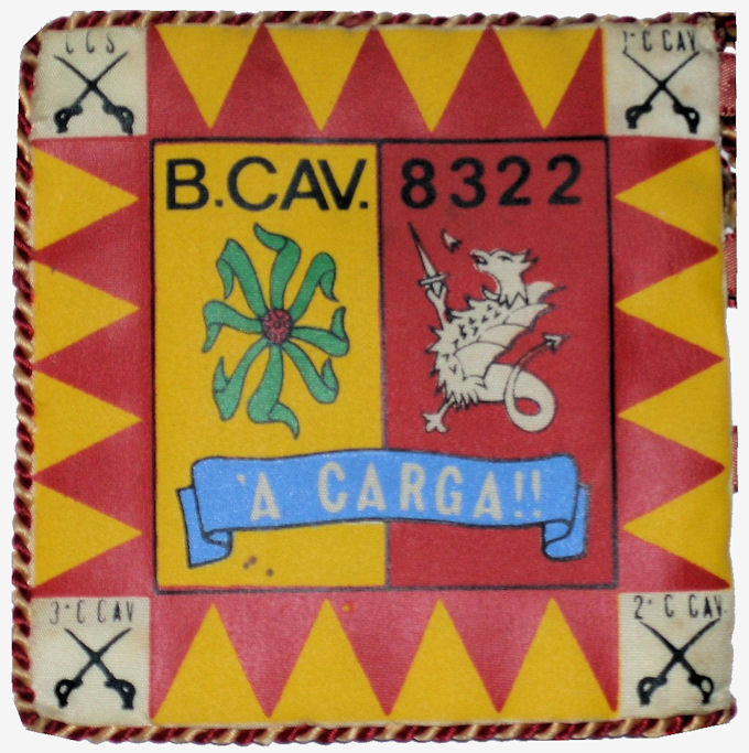 BCav8322-22