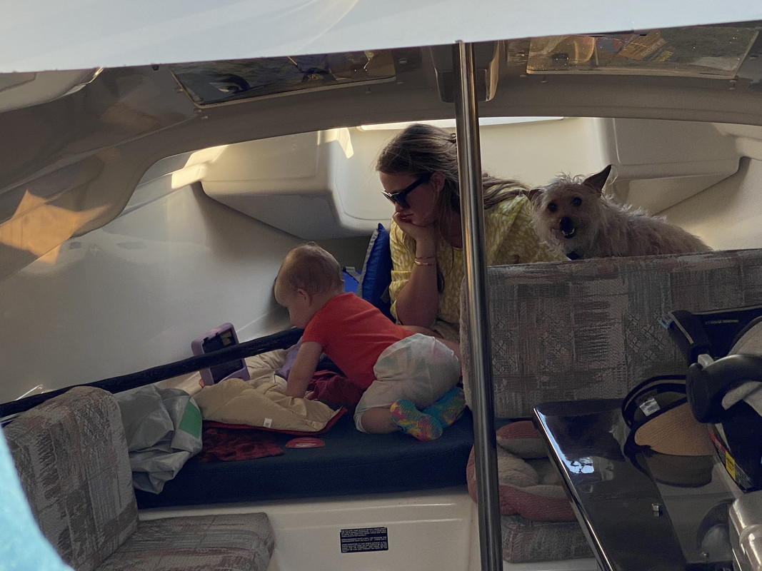 3DB3D451-749A-4344-A0E5-81F8E165EDDD