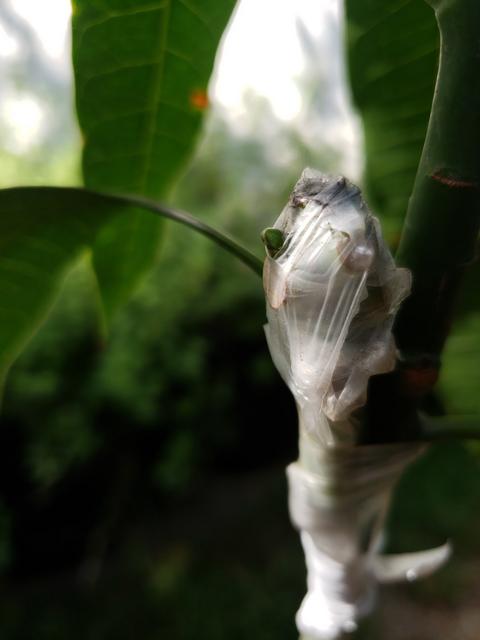 A9F2BC04-4964-4D7F-B8CC-A444DFF14711