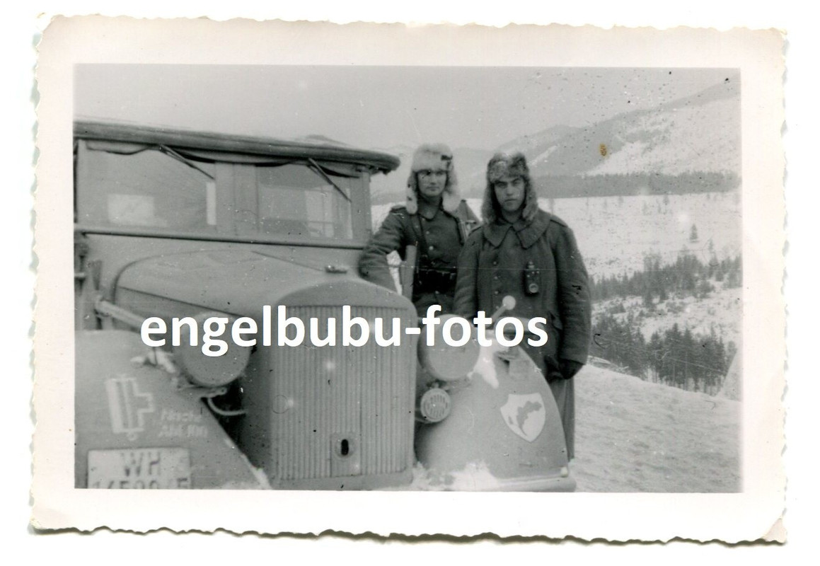 FOTO - FAHRZEUG - Kübelwagen - LKW - BALKAN - DIVISIONS-WAPPEN - Gebirgsjäger