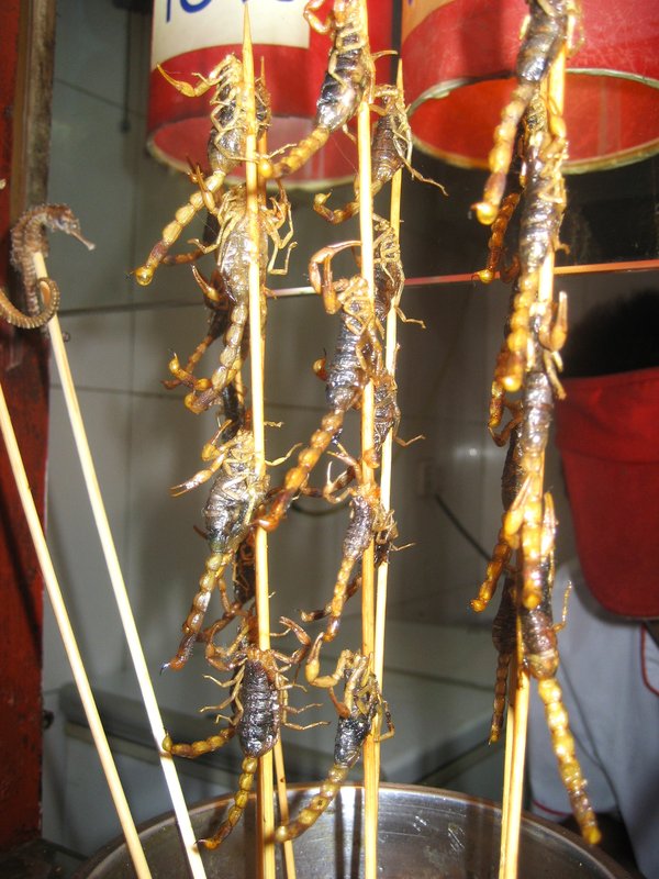 Mercado Wangfujing de insectos-2-8-2007 - China y sus pueblos-2007 (8)
