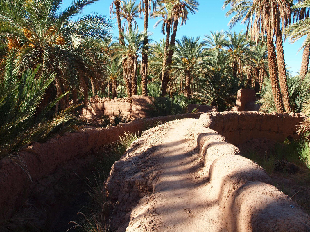 El palmeral de Ternata : Zagora y Tissergate - El Valle del Drâa, la gran arteria del sur de Marruecos (10)