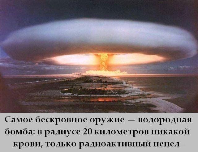 [Изображение: ffc10e46762a39910579555d59d79d10.jpg]