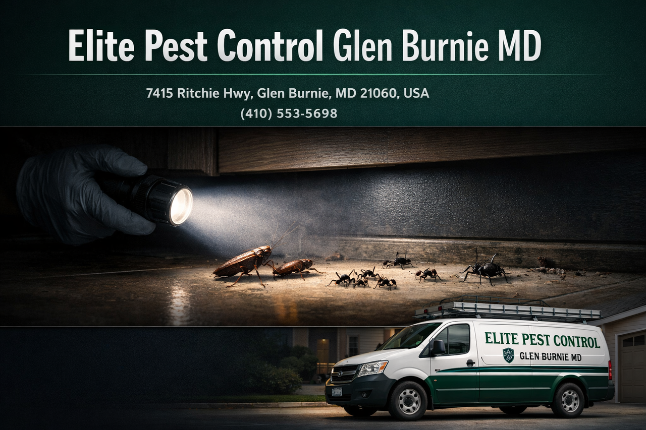 Elite Pest Control Glen Burnie MD | 24/7 Pest Control Services