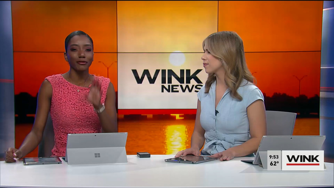 01.28 - 14.00.00 - WINK News at 9 00AM  ᴺᵉʷ. Morning news.ts_snapshot_00.59.59.538