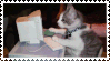 kitten on computer stamp