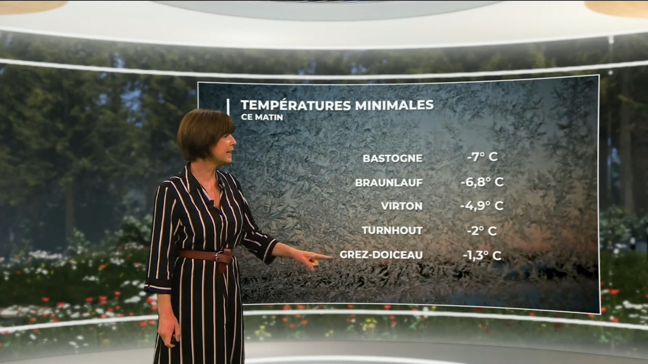 03.20 - 11.45.00 - Contacts. Verkeerstips.ts_snapshot_13.43.442