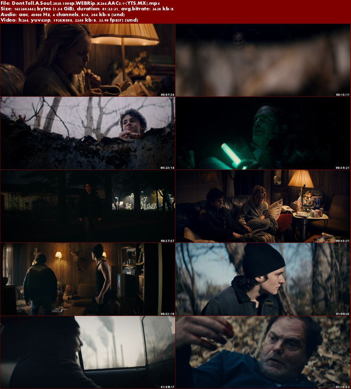 Dont-Tell-A-Soul-2020-1080p-WEBRip-x264-AAC5-1-YTS-MX.jpg