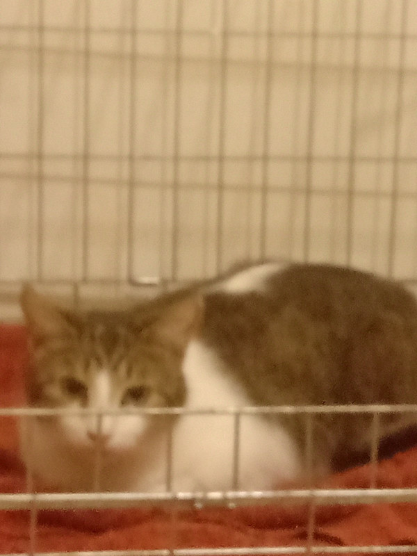 IMG-e4c6b5d667662a4fce5c8f430e0566a4-V