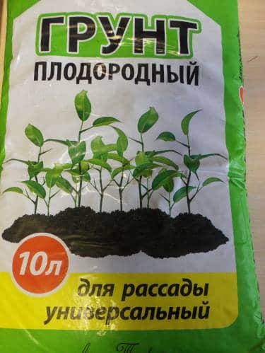 Какую Землю Купить Для Рассады Перцев