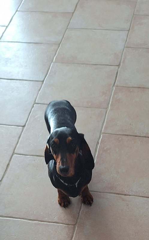 [Image: 20251126-095841.jpg]