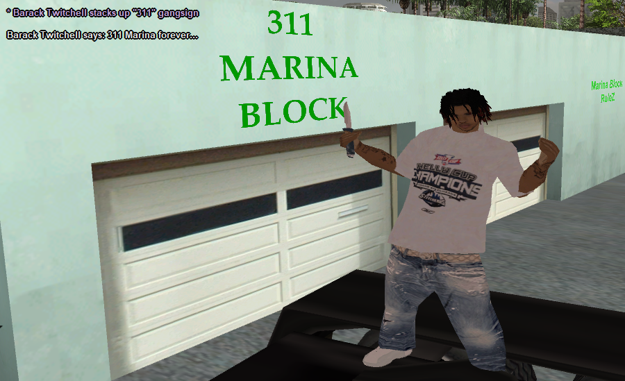 ss1.png