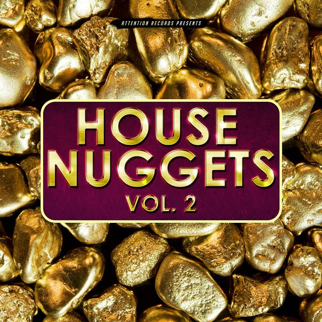 House Nuggets, Vol. 2 (2018) mp3 320 Kbps