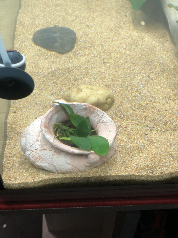 29C99C6D-0464-44D5-A3CE-41CA6F4008D1