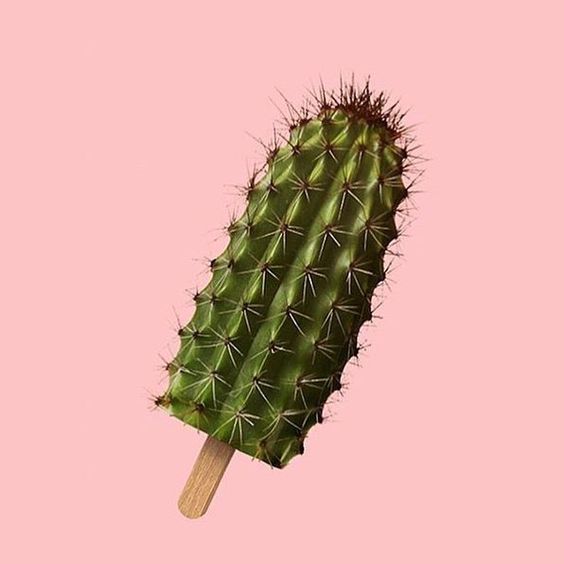 greencactusicelolly.jpg