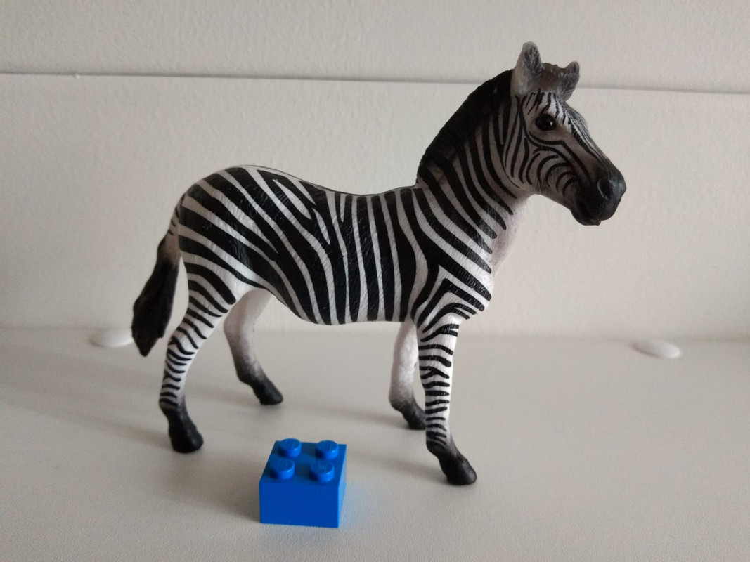 mojo fun animals