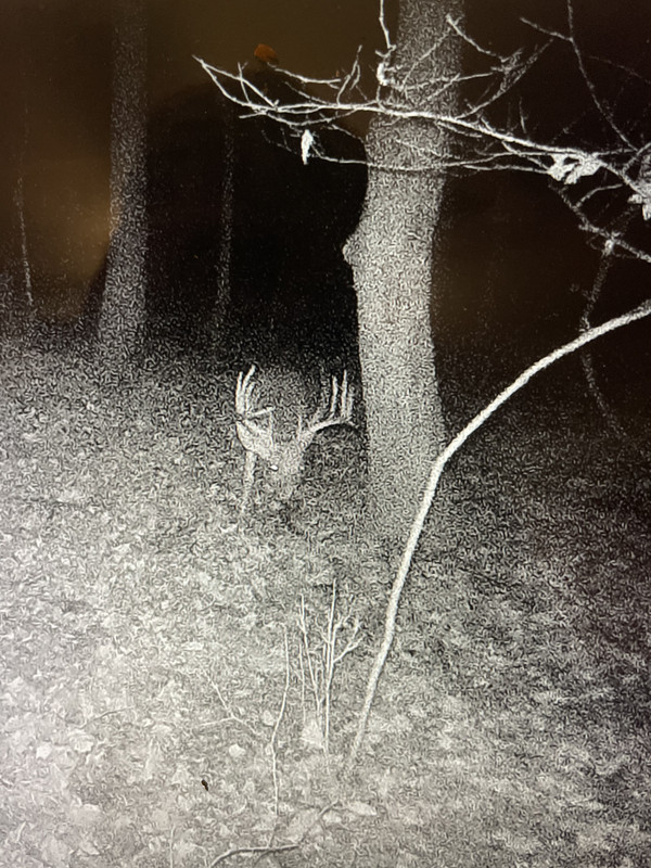 7874C49A-9774-4291-A2D5-66CEEE7E3994