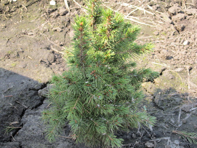 IMG_0907[1]