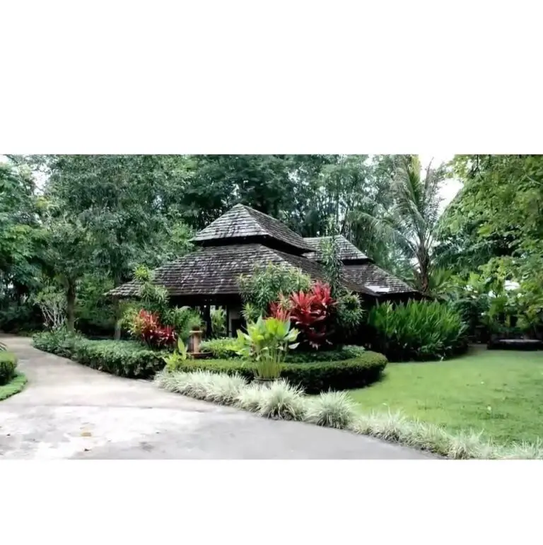 Bandalah-768x771-jpg