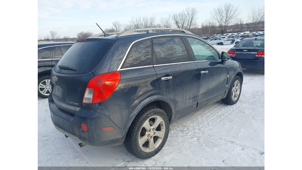 Без названия (3)