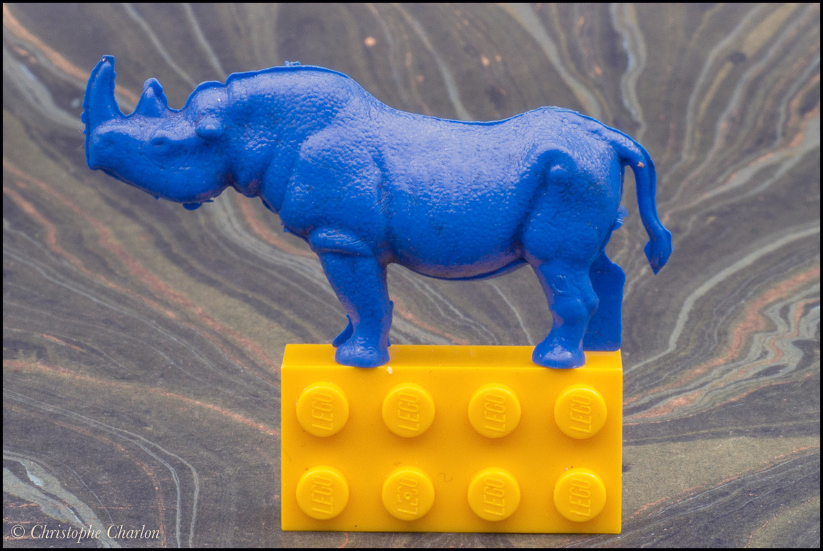 Back in CCCP: A blue savannah and other rubber animals CCCP-Black-rhino-1