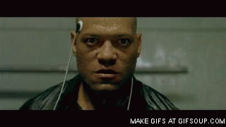 D5ws.gif