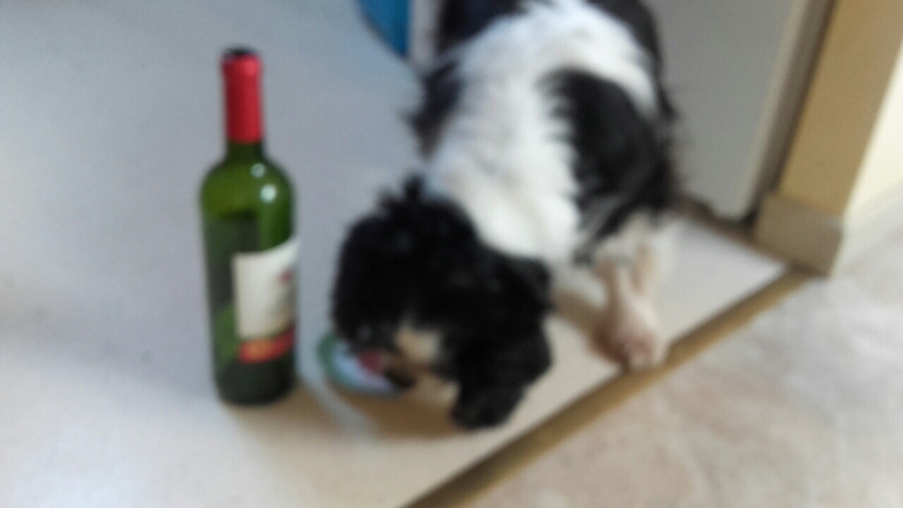 545940BB-B4FB-4811-ADD5-C0CDF286A627