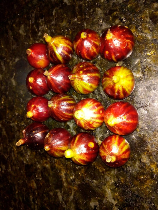 WhatsApp Image 2020-12-20 at 00.10.49 (24)