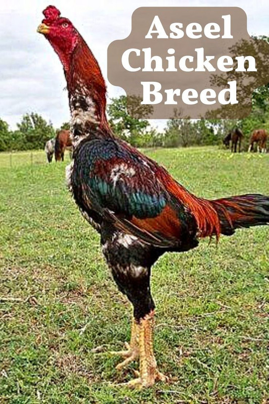 ac1596ce9c623aae1abb1854ad95f9fe