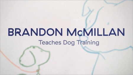 MasterClass   Brandon McMillan Teaches Dog Training