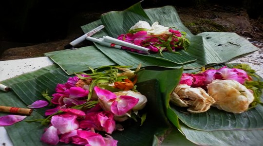 Kembang setaman
