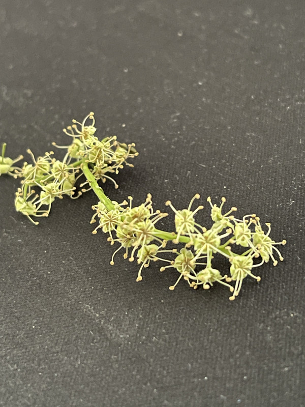 48D68498-142E-4688-96AE-DDFCCC3BACDA