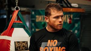 ¿Cuándo pelea Canelo Álvarez? Calendario de peleas 2022