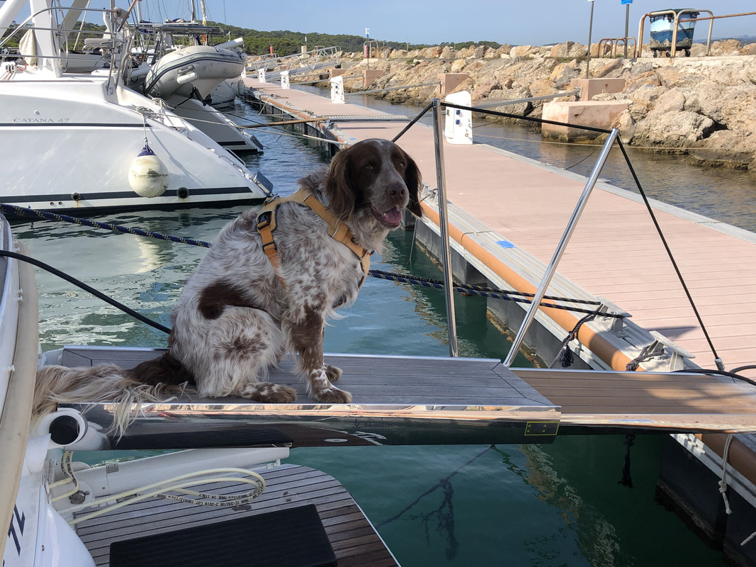 2374E277-331A-470D-BBE4-6EE56D05B063