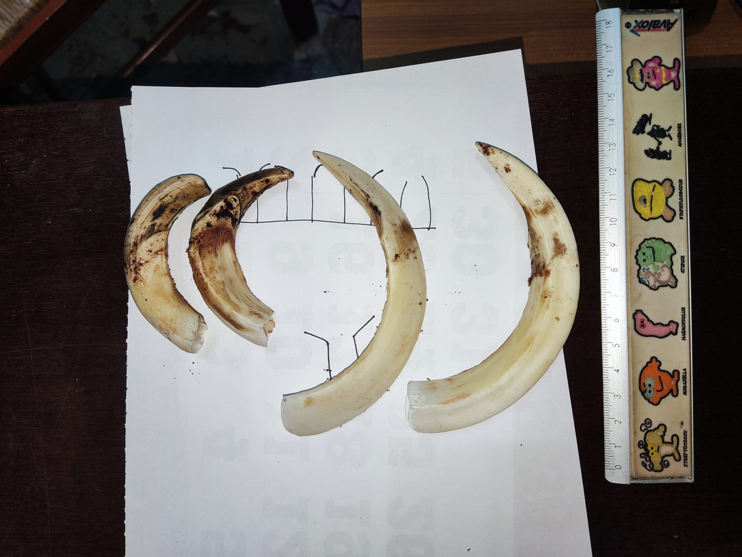 273C04D1-093C-4B4A-B595-43CAACDE6BE9