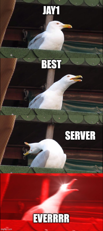 index1.jpg