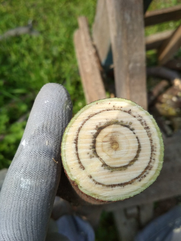 EDFA1CA5-FAC8-4652-B7C8-CAA0AA9CB261