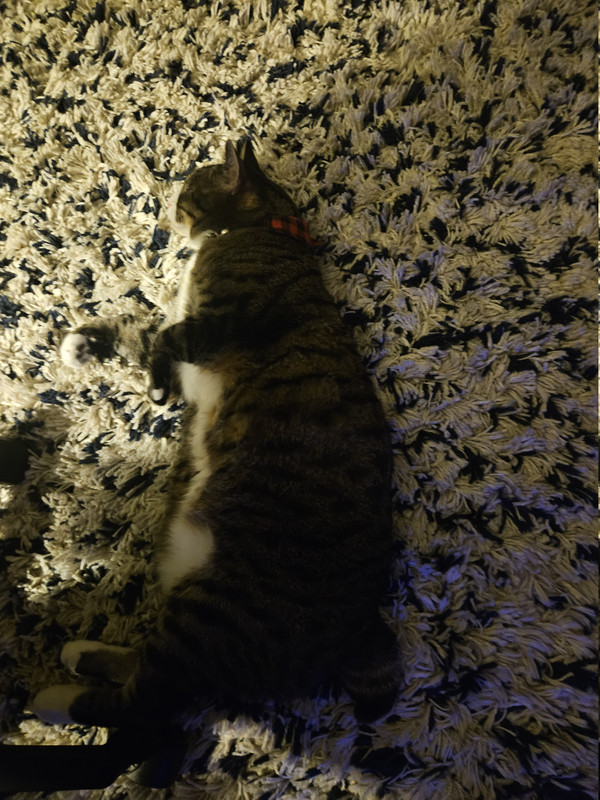 16289104 db3d 4264 bbc4 10667a932fca