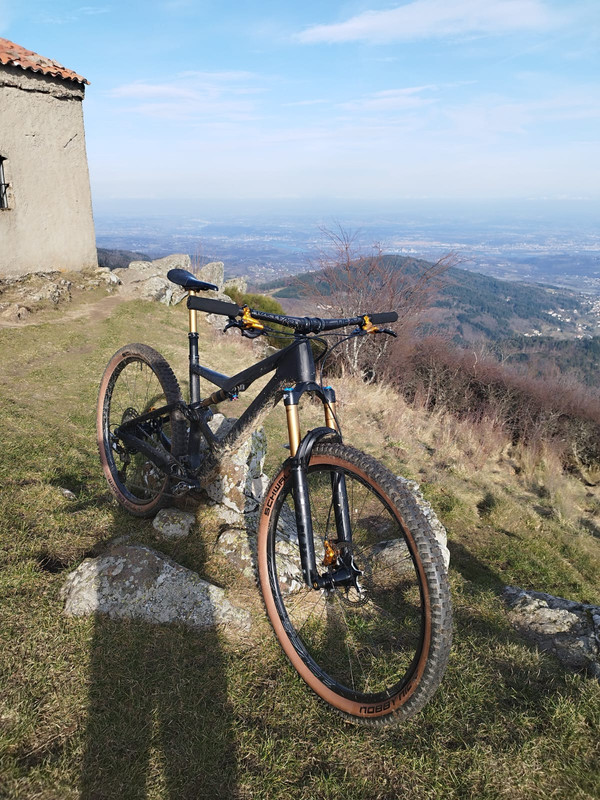 WhatsApp Image 2025-02-22 at 10.53.49