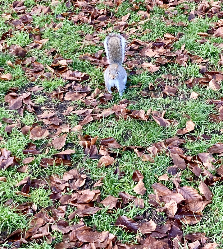 E583825F-7B9C-4248-8BF3-EE2D4D86939C