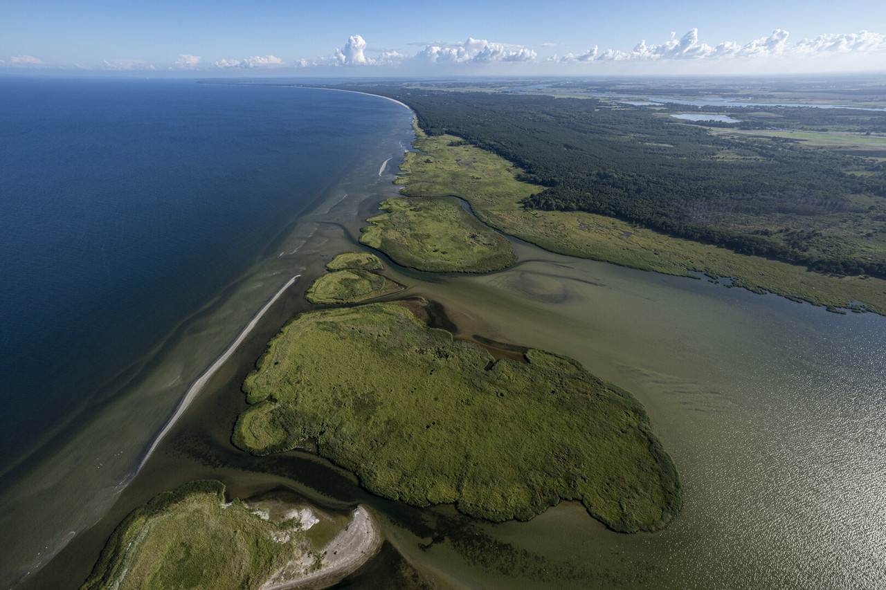 Strandwiesen am Peenemünder Haken