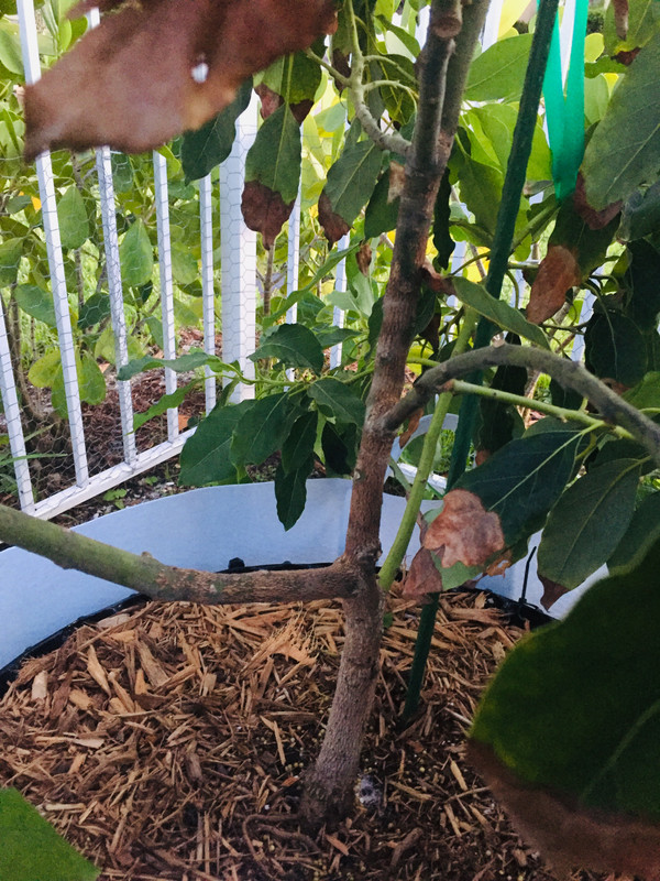 2FAF7728-4AAD-4C04-A50F-48AA2C4DCB10