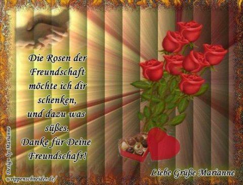 Die-Rose-der-Freundschaft