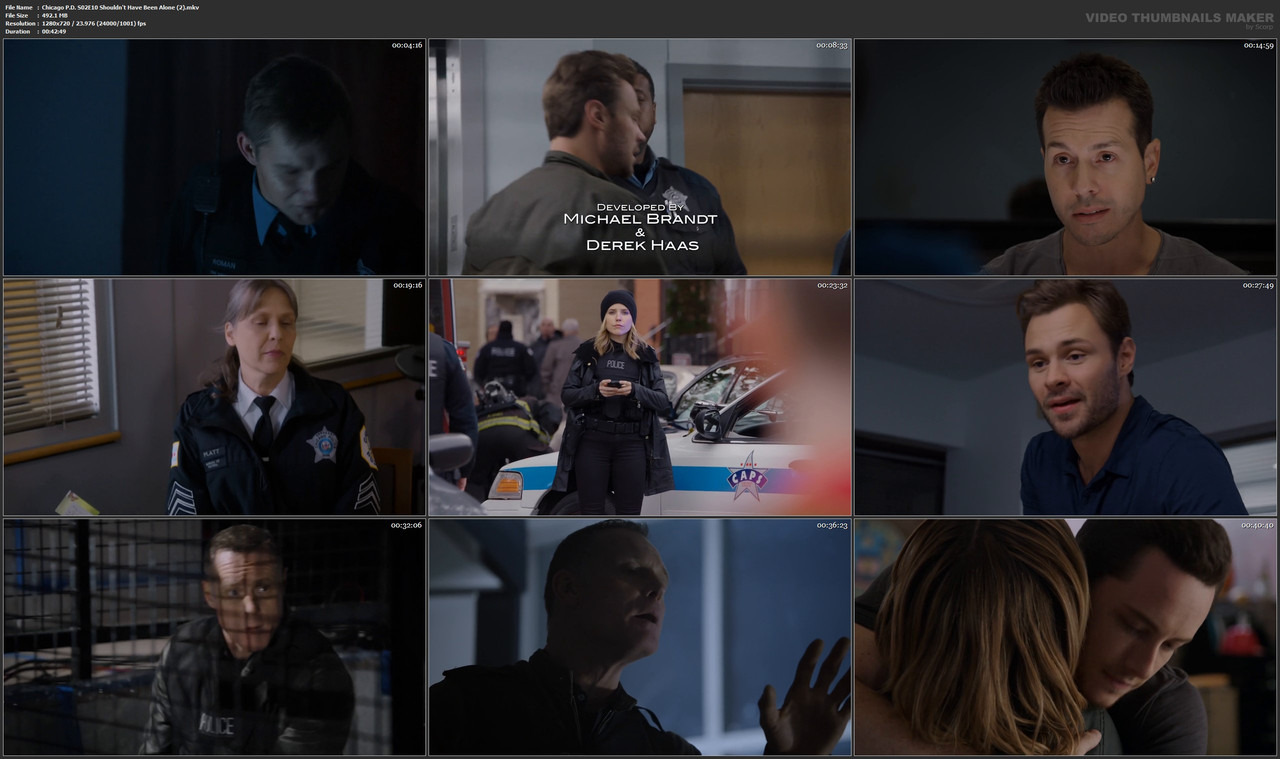 Chicago P.D. S02E10 Shouldn't Have Been Alone (2).mkv