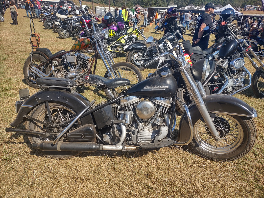 IMG_20241019_124124568_HDR
