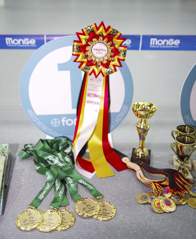 1-1 - копия - копия